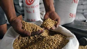 Menyerap Kedelai Lokal Sebagai Penguatan Stok Kedelai Nasional.