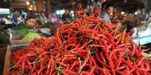 Memastikan Produksi Bawang dan Cabai Cukup Untuk Memenuhi Kebutuhan Masyarakat