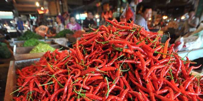 harga cabai merah