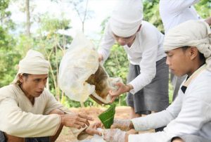 Dicari Reseller Madu Asli Badui Dalam