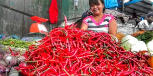 Harga Cabai Merah di Sumut Terus Naik
