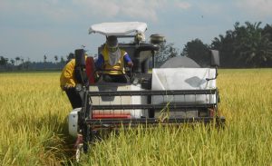 Enam Langkah Untuk Memperkuat Ekonomi Nasional Menghadapi Masalah Global