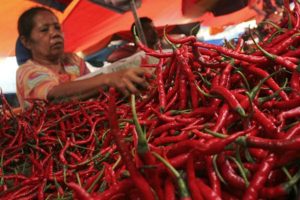 Harga Cabai Merah Tembus Rp 100.000 Per Kg di Sumut