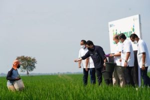 BUMN Perkuat Kemampuan Petani Agar Semakin Sejahtera