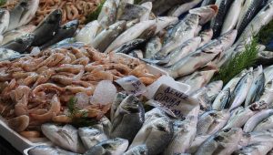 Pemkot Sumbar Targetkan Angka Konsumsi Ikan Meningkat hingga 45 Kg Pertahun