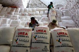 Harga Pupuk Non Subsidi Alami Kenaikan Harga