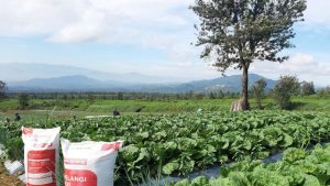 PKT Meningkatkan Produktivitas Pertanian Sulut