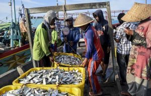 Perindo Realisasikan Serap Ikan Tangkapan Nelayan 5.570 Ton di Paruh Pertama 2022