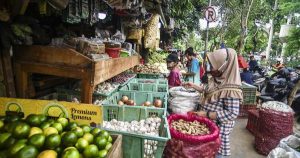 Strategi Sayurbox Dalam Perluas Agritech Di Indonesia