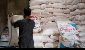 Pemerintah Kurangi Jenis Pupuk Bersubsidi ke Petani