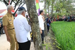 Presiden Jokowi Berharap Masyarakat Indonesia Bisa Memanfaatkan Lahan Kosong Untuk Menanam