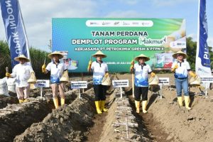 Program Makmur Siap Memenuhi Kebutuhan Pupuk Hingga 23.500 Ton Untuk Petani