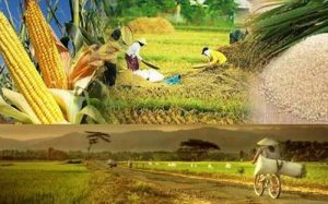Pemerintah Indonesia Ajukan Penguat Ketahanan Pangan di Pulau-Pulau Kecil di G20