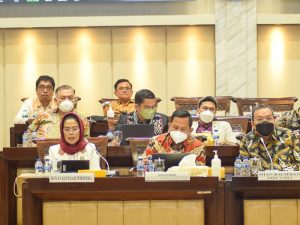 Hadiri RDP  dengan Komisi XI, Untari Usulkan Pembentukan Lembaga Audit Pengawasan Koperasi Simpan Pinjam