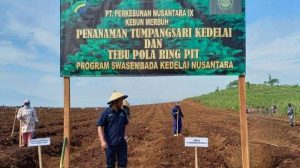 Pemanfaatan Lahan Tebu dan Meningkatkan Produksi Kedelai