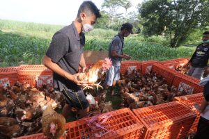 Singapura Setuju Indonesia Sebagai Sumber Pasok Ayam