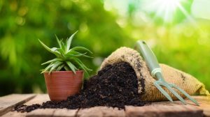 Subsidi Pupuk Organik Dicabut Berdampak Ratusan Pabrik Tutup