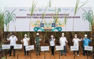 Program Makmur Tingkatkan Produktivitas Tebu Indonesia