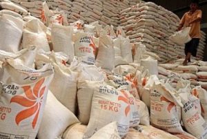 Indonesia Surplus Beras, Cadangan Beras Nasional Juni 2022 Capai 9,71 Juta Ton