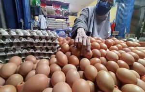 Derita Warga, Harga Telur dan Ayam Tinggi Disusul LPG Langka