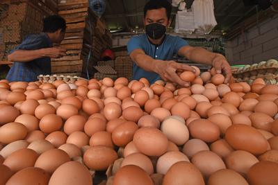 Harga Telur Meroket Pedagang Tanyakan Kerja Pemerintah