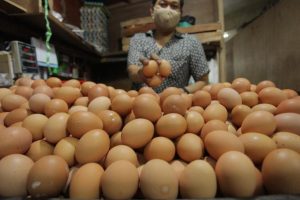 Jelang Ramadhan Harga Telur Melambung