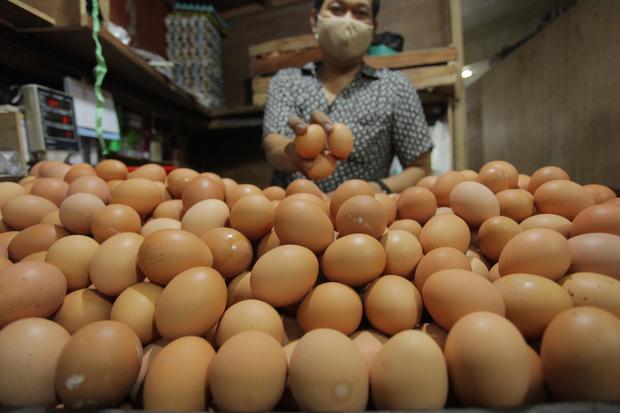 Jelang Ramadhan Harga Telur Melambung