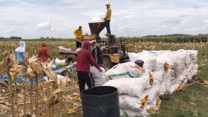 Peternak Binaan BAZNAS Raih Untung Jutaan Lewat Integrated Farming