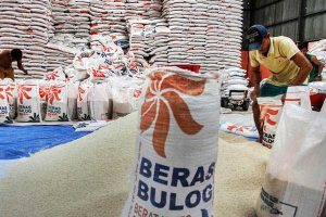 Bulog Harus Atasi Beras Sisa Impor yang Berkutu