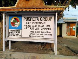 Berkat Dana Bergulir LPDB-KUMKM, Budidaya Sapi KJUB Puspetasari Klaten Makin