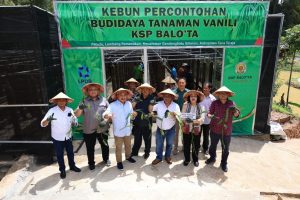 LPDB-KUMKM Dampingi KSP Balo’ Toraja Garap Komoditi Vanili dan Kopi