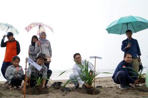 Mitigasi Tsunami, BSI dan BSI Maslahat Tanam  2.500 Bibit Pandan Laut di Lebak Banten