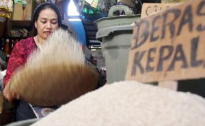 Beras Penyumbang Inflasi Sebesar 18,44% YoY Tertinggi Sejak 2014