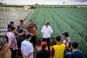KSP MAA Siap Jadikan Koperasi Produsen Petani Sesuai Pasar