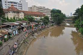 Presiden Tinjau Proyek Normalisasi Kali Ciliwung: Segera Kita Mulai