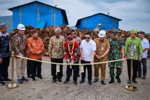 Tingkatkan Kesejahteraan Petani Sawit, Pemerintah Inginkan Bangun Pabrik Minyak Merah