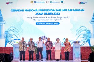 MenKopUKM: Kurangnya Suplai Pangan, Sebabkan Inflasi