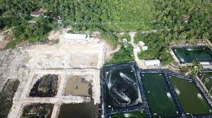 Untungkan Masyarakat Jepara, Pelaku UMKM Berharap Pemerintah Tidak Menutup Tambang Udang di Karimunjawa