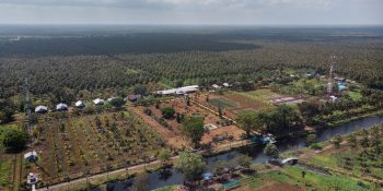 Sambu Group Terapkan ESG, Tidak Selalu Bertumpu di Industrialisasi Kelapa