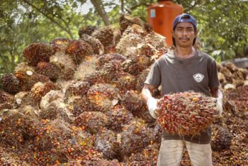 Bangkit Melawan Atau Tunduk Ditindas