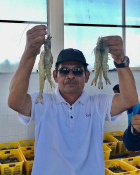 APSI Dorong Penurunan HPP Udang untuk Bidik Pasar Tiongkok