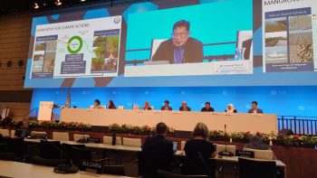 Sebagai Aksi Mitigasi, Indonesia Dorong Perlindungan Ekosistem Karbon Biru