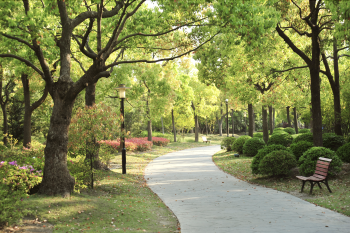 Astra Land Indonesia Hadirkan Township Berkonsep Eco-Green di Cikupa