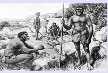 Suku Wajak, Homo Sapiens yang Pelaut Tangguh