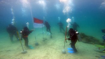 Belanda Akhirnya Akui Kemerdekaan Indonesia Hasil Perjuangan