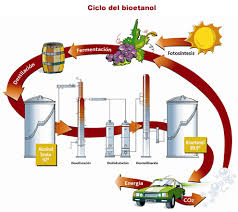 Juni Ini, Pertamina Rencana Luncurkan Bioetanol