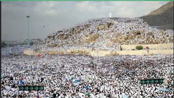 Wukuf di Arafah 5 Juni, Suhu Sangat Ekstrem 50 Derajat Celsius