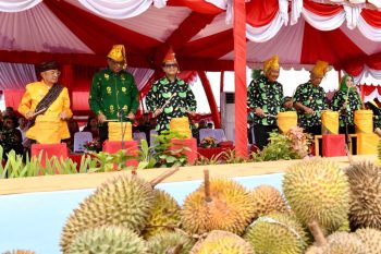 SesKemenKopUKM Dorong Pemkab Parigi Moutong Berikan Bimbingan Petani, Fokus Kembangkan Produk Olahan Durian
