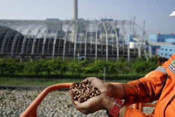 Teknologi Co-Firing, Mampu Turunkan Emisi Hingga 429 Ribu Ton CO2 dari 40 PLTU PLN