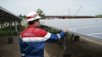 Dengan PLTS, Pertamina NRE Dorong Pemanfaatan Energi Hijau  